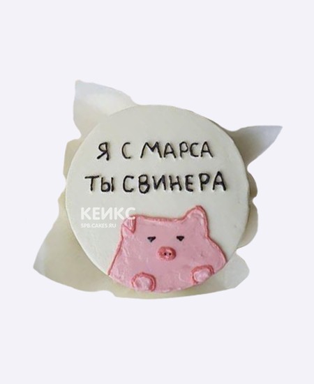 Торт бенто со свинкой и надписью Торт бенто со свинкой и надписью Фото