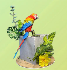 Торты с попугаем