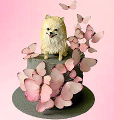 Торты со Шпицем