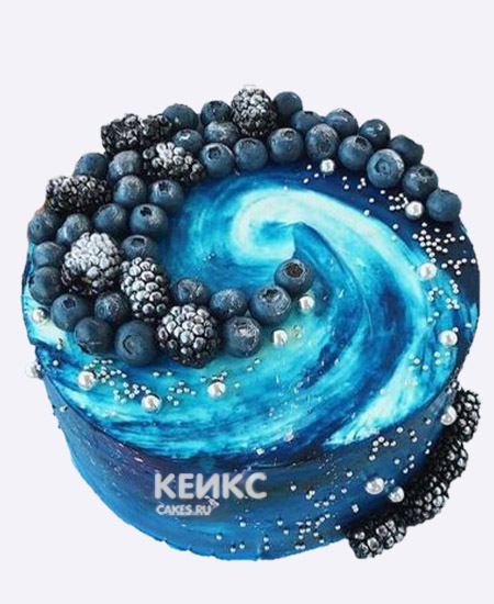 Космический бенто торт с голубикой и ежевикой Космический бенто торт с голубикой и ежевикой Фото