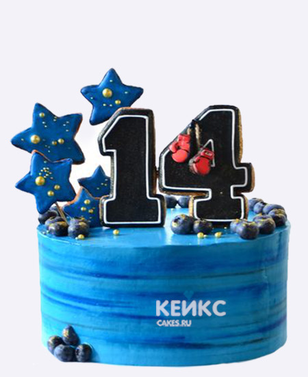 Синий бенто торт на 14 лет с голубикой и цифрой Синий бенто торт на 14 лет с голубикой и цифрой Фото