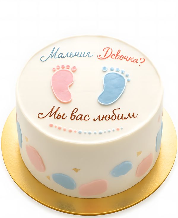 Бенто-торт с голубыми и розовыми пяточками Фото