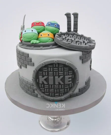 Серый торт Черепашки ниндзя и люк Фото