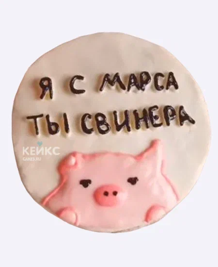 Мемный бенто-торт в розовых тонах с свинкой Мемный бенто-торт в розовых тонах с свинкой Фото