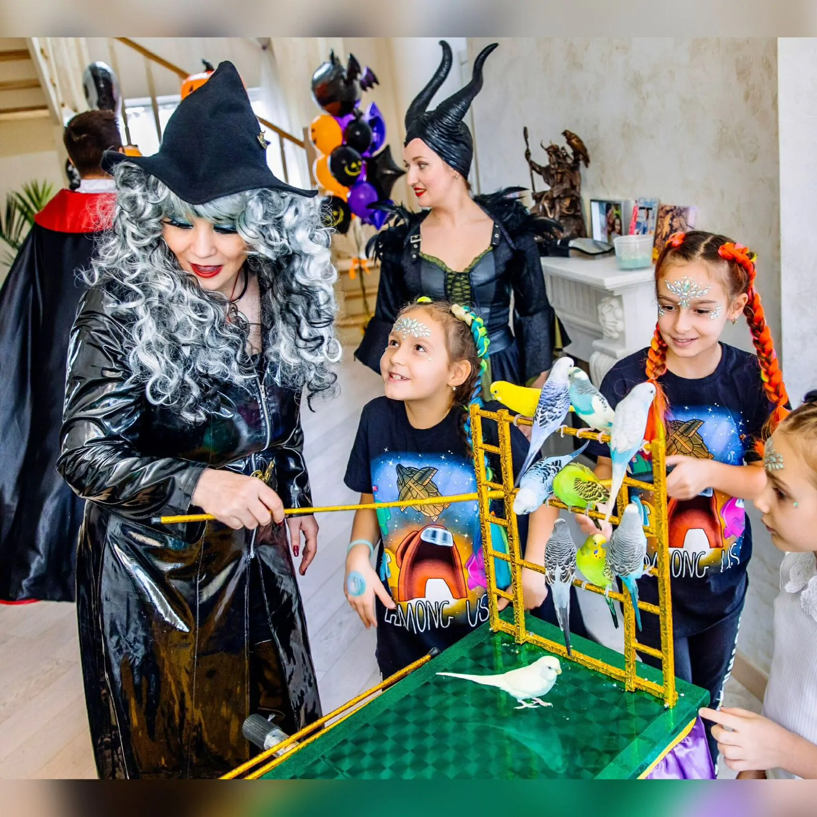 Шоу попугаев