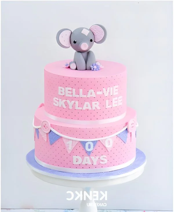 Розовый торт со слоненком и флажками Розовый торт со слоненком и флажками Фото