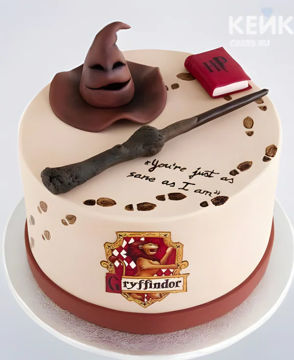 Торт в стиле Гарри Поттера со шляпой и палочкой Фото
