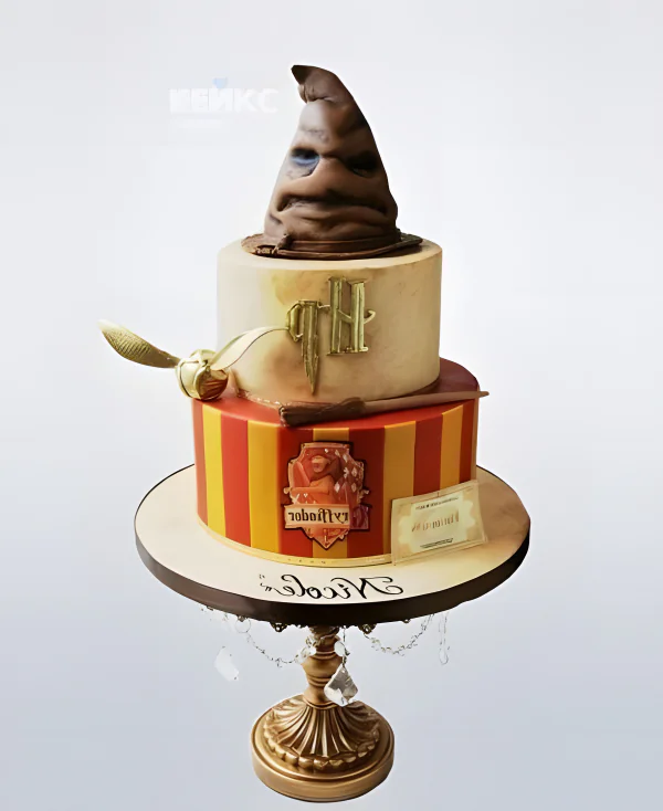 Торт в стиле Гарри Поттера со шляпой Фото