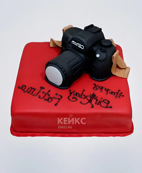 Красный торт с фотоаппаратом Красный торт с фотоаппаратом Фото