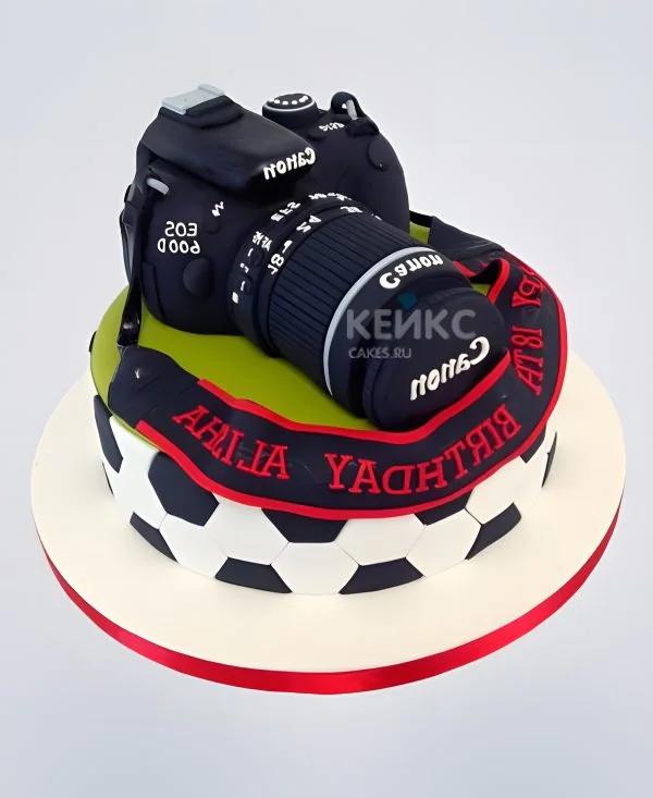 Торт с футбольным полем и фотоаппаратом Торт с футбольным полем и фотоаппаратом Фото