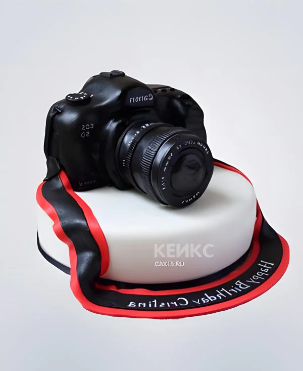 Торт фотоаппарат из мастики Торт фотоаппарат из мастики Фото