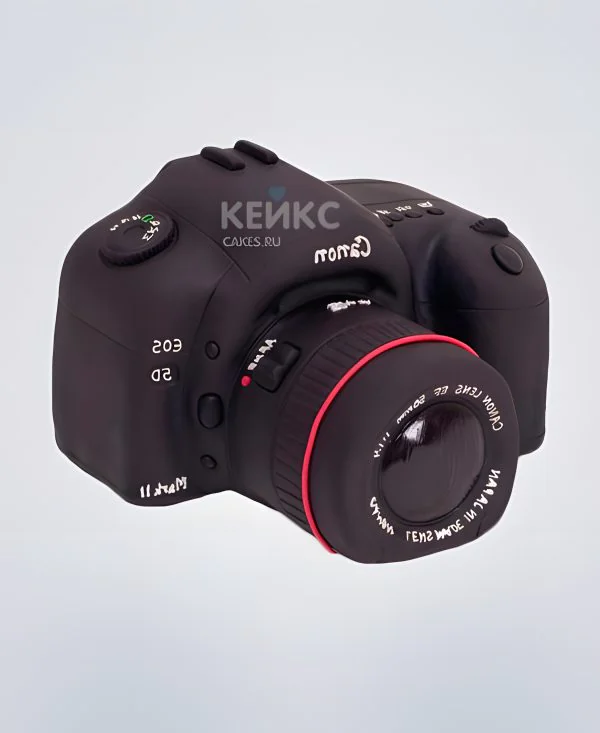 Мастичный торт фотоаппарат Мастичный торт фотоаппарат Фото