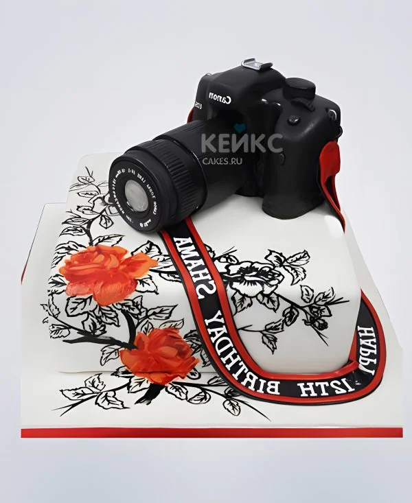 Шикарный торт с росписью и фотоаппаратом Шикарный торт с росписью и фотоаппаратом Фото