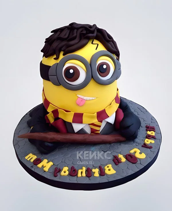 Торт Гарри Поттер 16 Фото