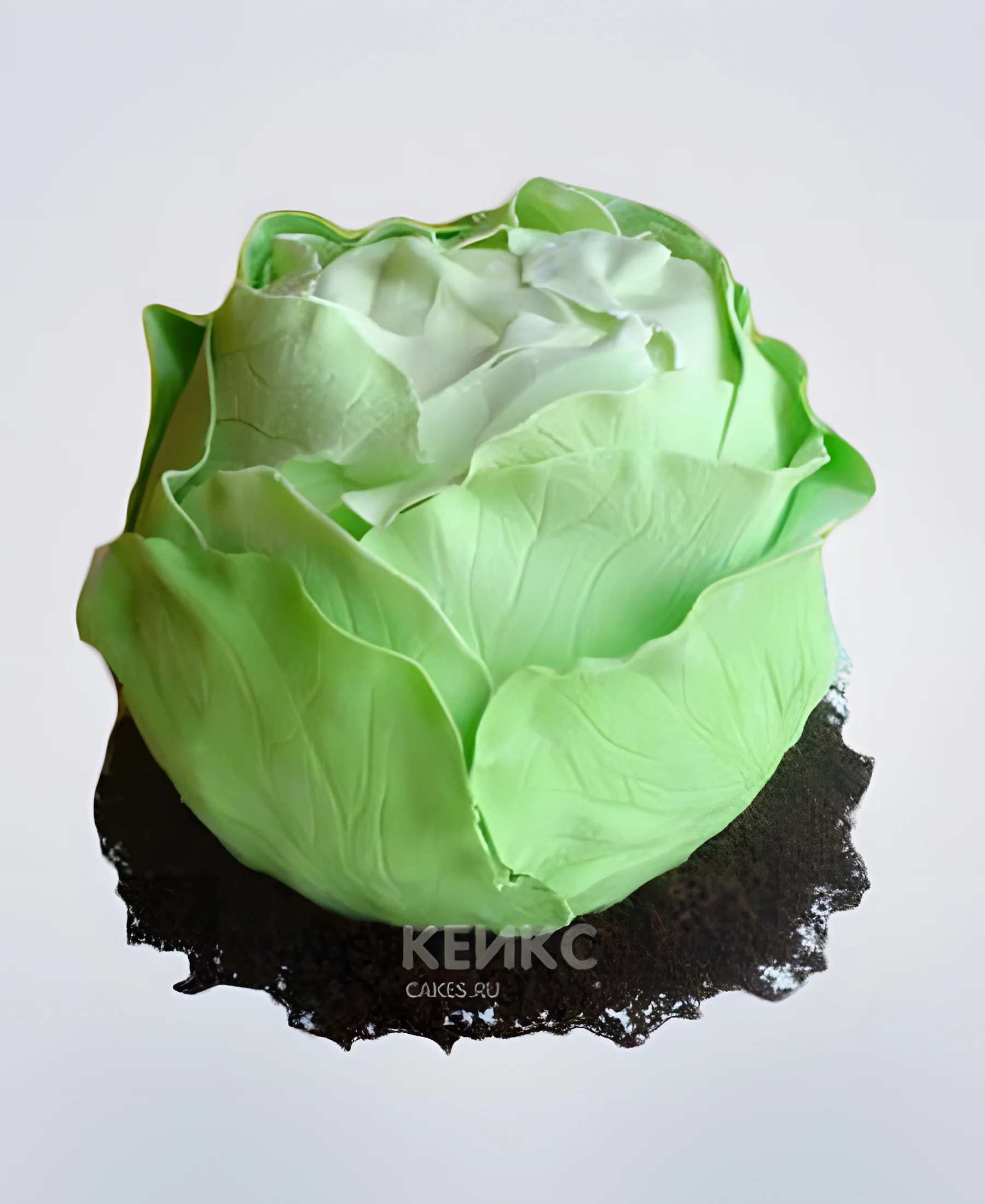 Торт в форме капусты на земле Фото