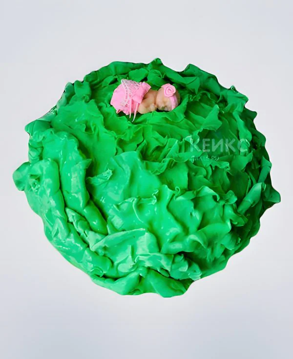 Торт ребенок в капусте Фото