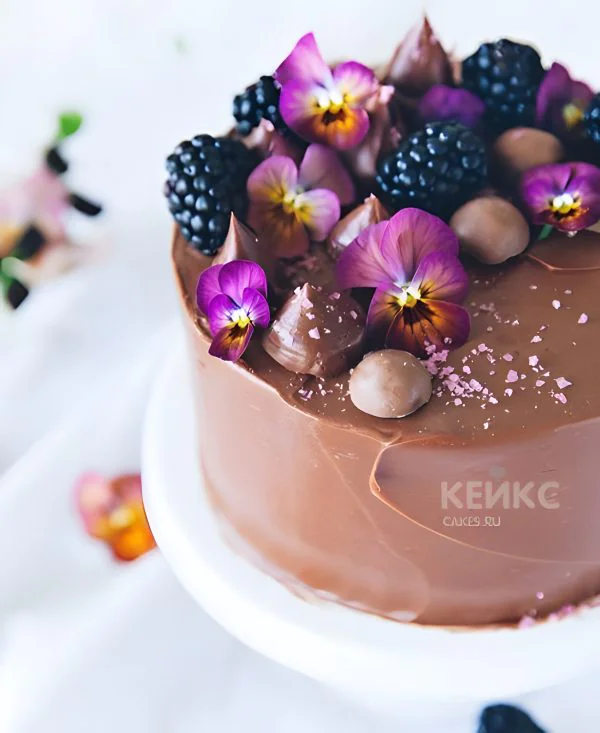 Торт коричневый с шоколадом и ежевикой Фото