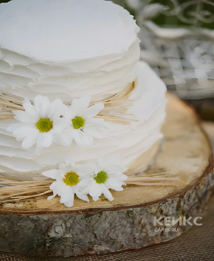 Белый двухъярусный торт с живыми ромашками Белый двухъярусный торт с живыми ромашками Фото