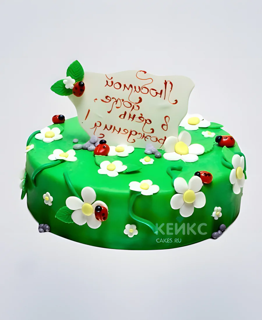 Зеленый торт с ромашками и божьими коровками Зеленый торт с ромашками и божьими коровками Фото