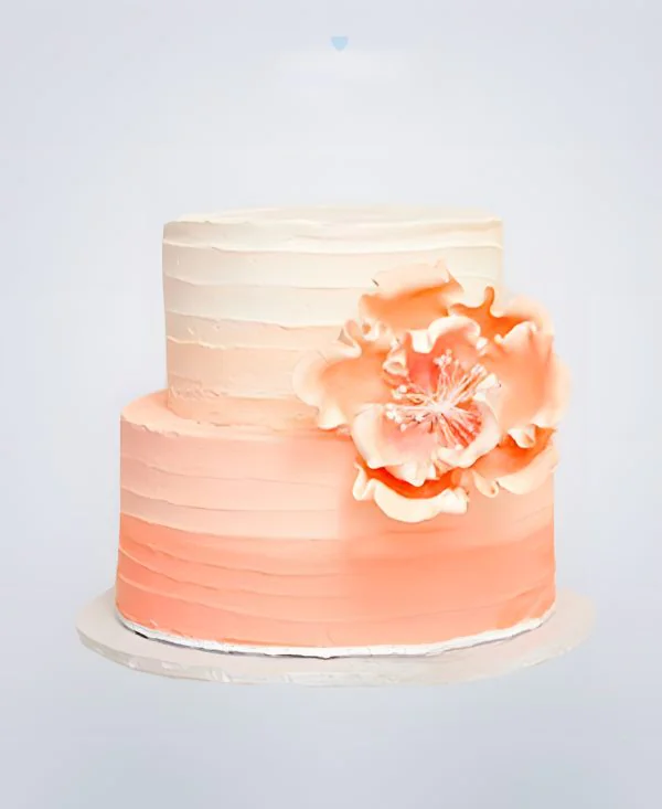 Нежно-розовый двухъярусный торт омбре Нежно-розовый двухъярусный торт омбре Фото