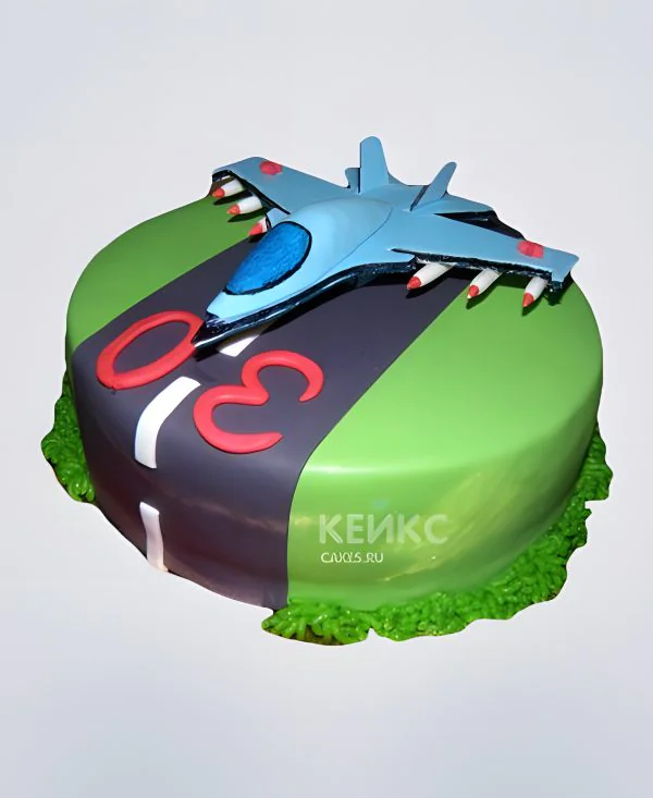 Торт в виде самолета-истребителя Торт в виде самолета-истребителя Фото