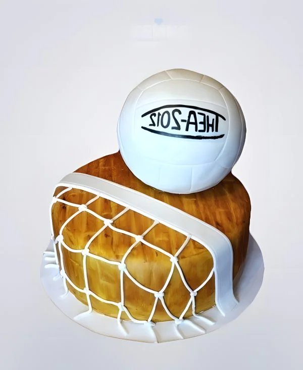 Торт волейбол белый мяч и сетка Торт волейбол белый мяч и сетка Фото