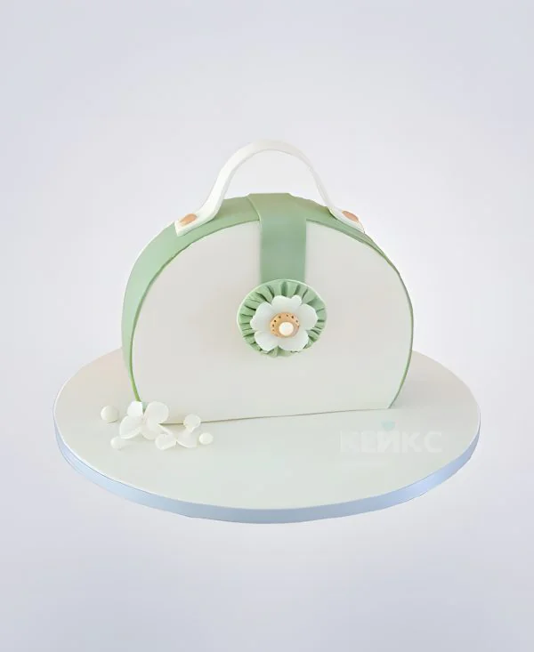 Изящный бело-зеленый торт Сумка Изящный бело-зеленый торт Сумка Фото