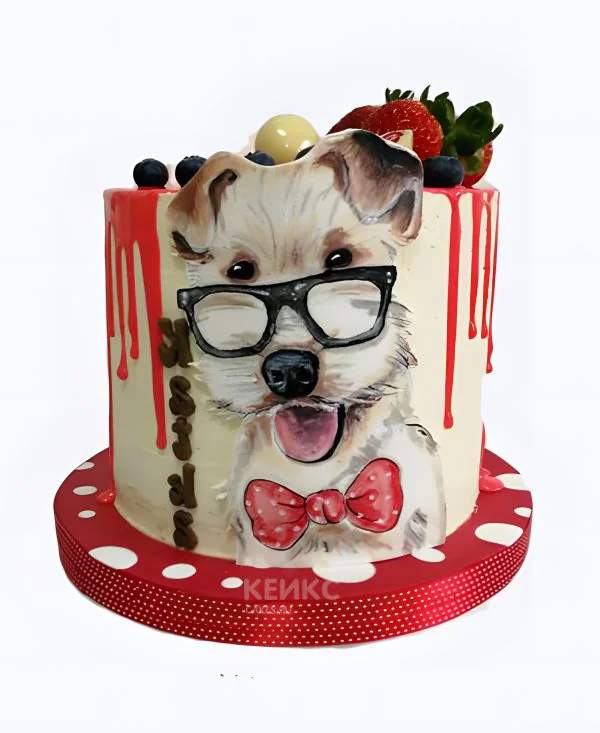 Прикольный торт с собакой с бабочкой Прикольный торт с собакой с бабочкой Фото
