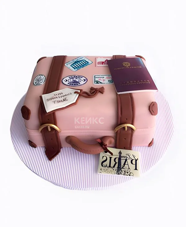 Розовый торт для путешественницы в виде чемодана Фото