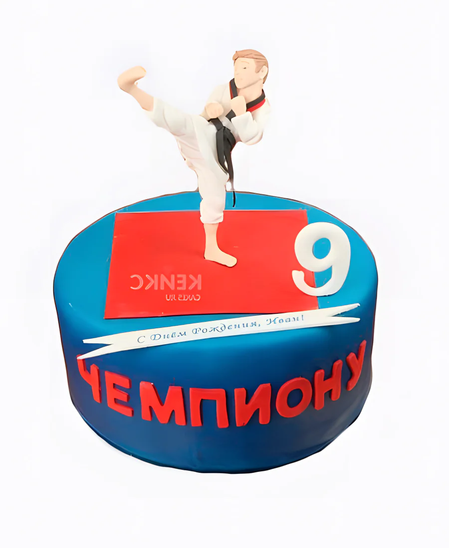 Торт для мальчика дзюдо Торт для мальчика дзюдо Фото