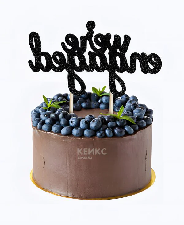 Шоколадный торт с голубикой Фото
