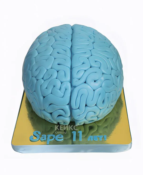 Торт в форме мозга Торт в форме мозга Фото