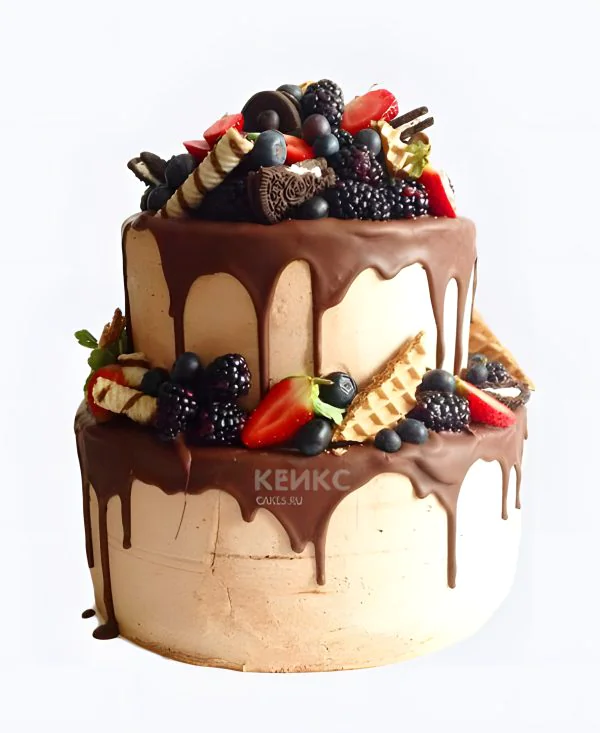 Двухъярусный торт с фруктами и шоколадом Фото