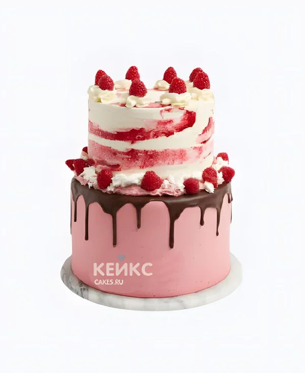 Аппетитный двухъярусный торт с малиной и шоколадной глазурью Аппетитный двухъярусный торт с малиной и шоколадной глазурью Фото