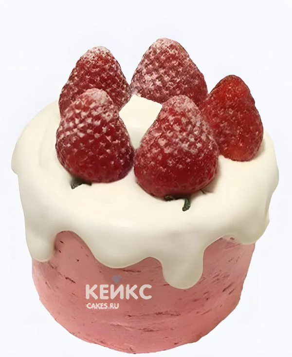 Аппетитный бенто торт с клубникой Фото