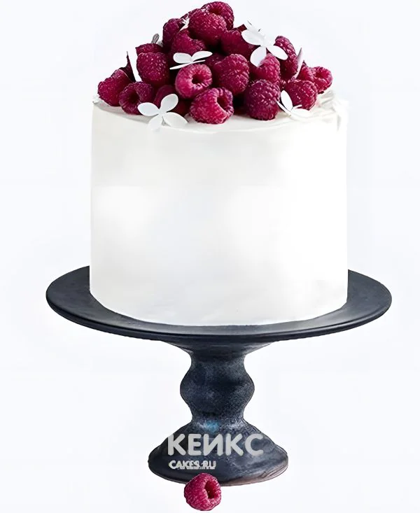 Аппетитный бенто торт с малиной в белом цвете Фото