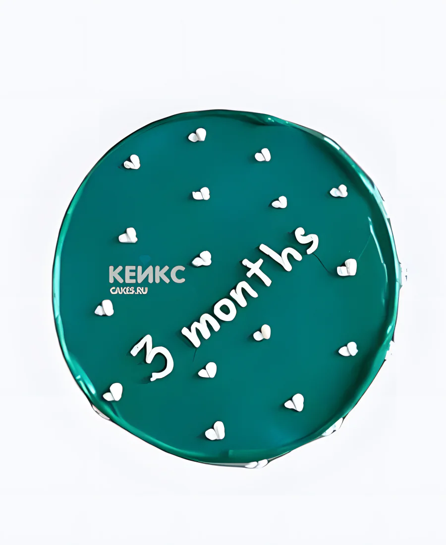 Бенто-торт малышу на 3 месяца Бенто-торт малышу на 3 месяца Фото