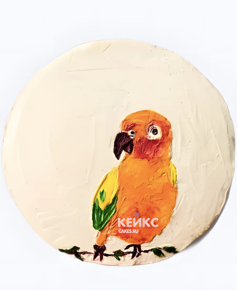 Бенто-торт с волнистым попугайчиком Бенто-торт с волнистым попугайчиком Фото