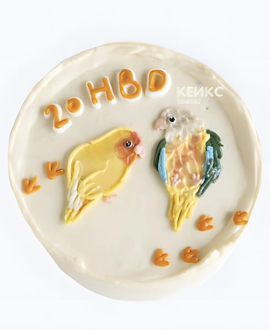 Бенто-торт с попугайчиками Фото