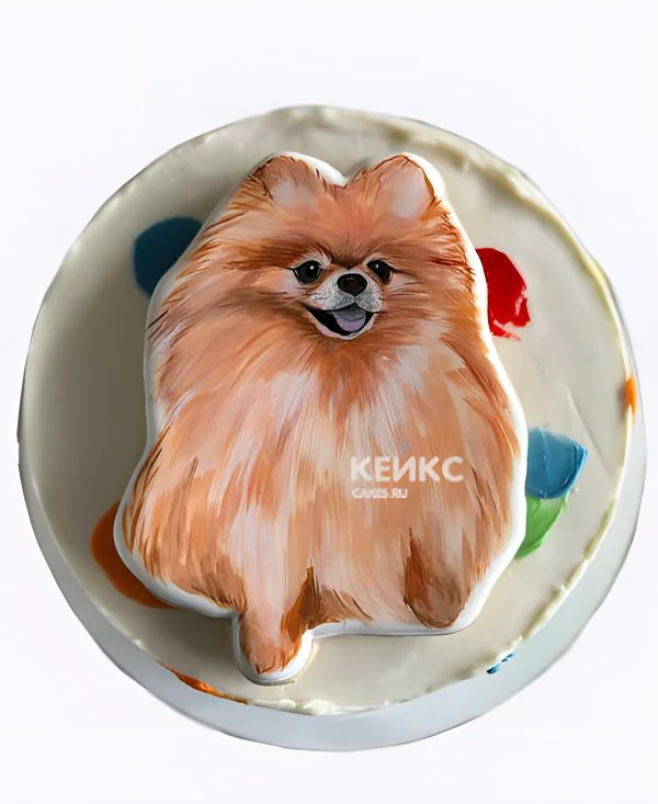 Бенто-торт с пряником в виде шпица Бенто-торт с пряником в виде шпица Фото