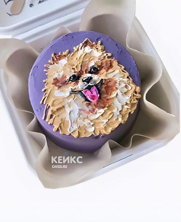 Бенто-торт со шпицем Бенто-торт со шпицем Фото