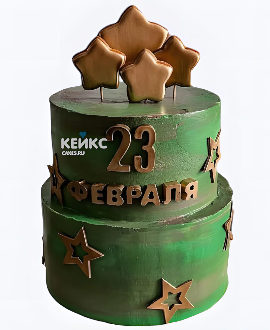 Двухъярусный торт на 23 февраля Фото