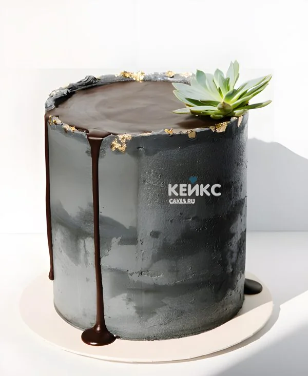 Эстетичный торт с суккулентом Эстетичный торт с суккулентом Фото