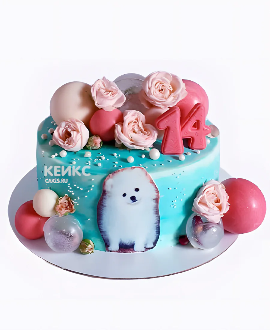 Яркий торт со шпицем на день рождения Яркий торт со шпицем на день рождения Фото