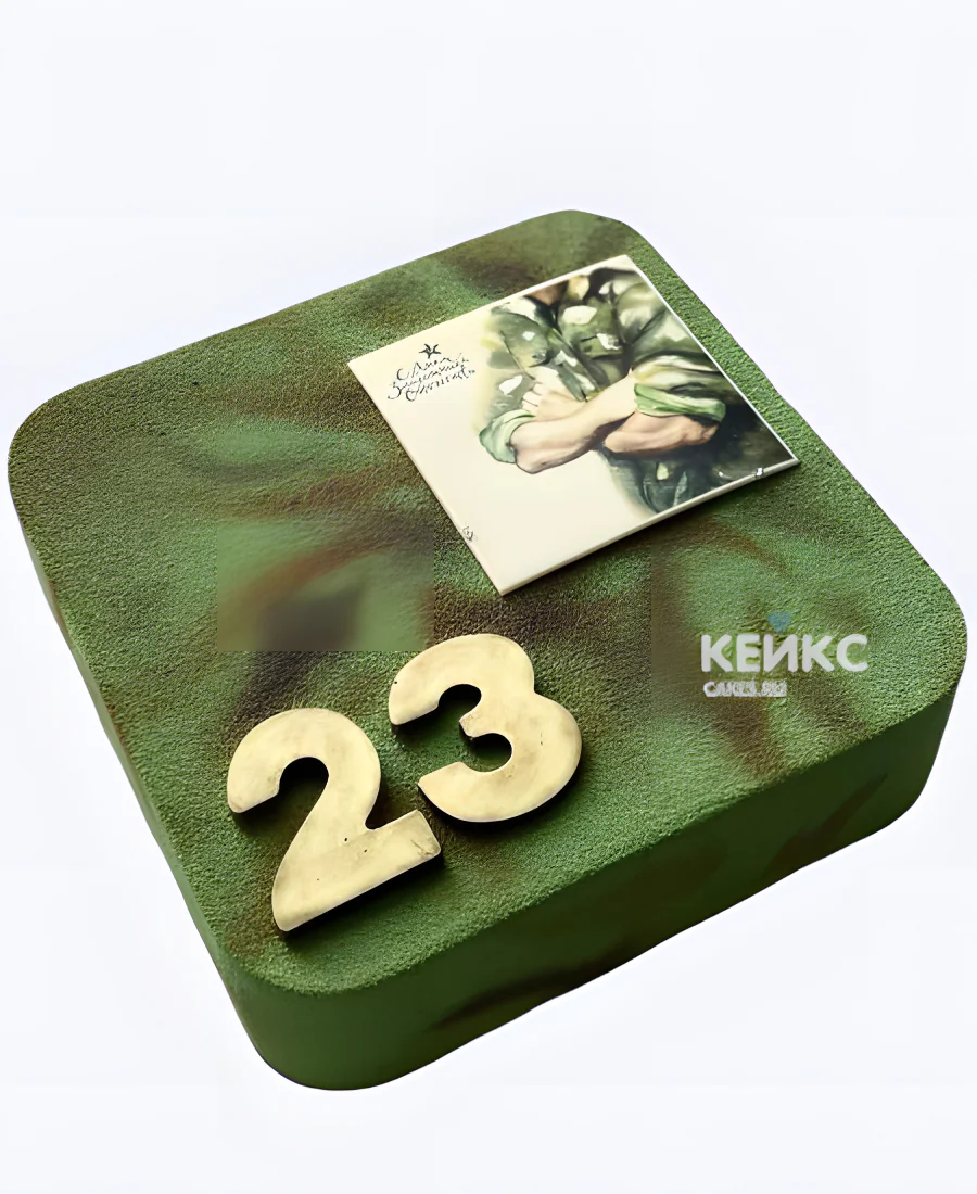 Квадратный велюровый торт с фотопечатью на 23 февраля Квадратный велюровый торт с фотопечатью на 23 февраля Фото