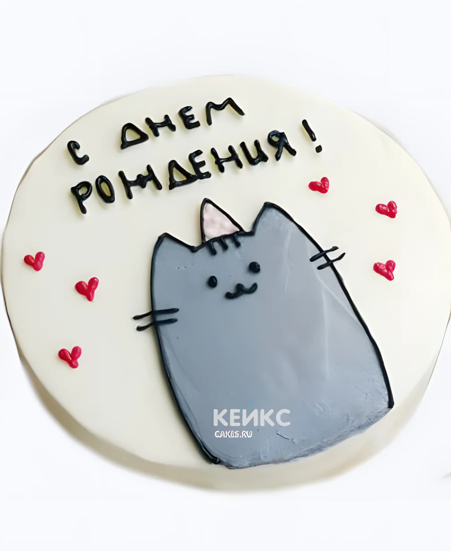 Милый бенто-торт на рождение с котиком Милый бенто-торт на рождение с котиком Фото