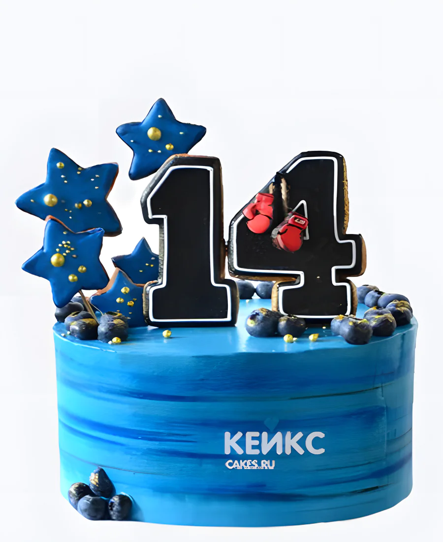 Синий бенто торт на 14 лет с голубикой и цифрой Синий бенто торт на 14 лет с голубикой и цифрой Фото