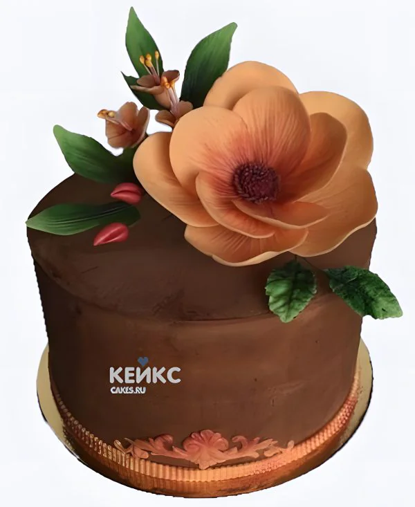 Торт из мастики в коричневом цвете Торт из мастики в коричневом цвете Фото