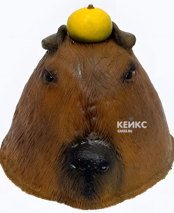 Торт капибара Торт капибара Фото