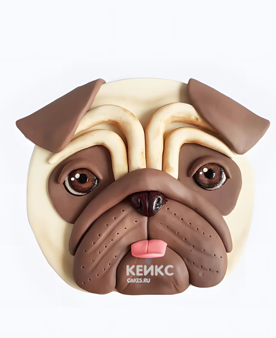 Торт мордочка мопса Торт мордочка мопса Фото